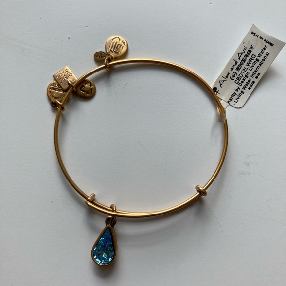 Alex and Ani Blue Charm Bracelet - Picture 4 of 4